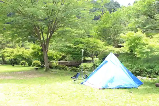 Hachitaki Woody Land
