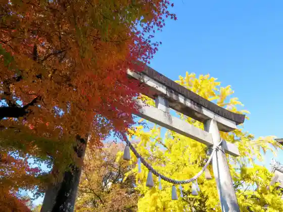 Autumn Leaves at Kasuga Shrine