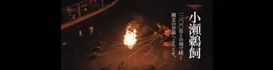 Oze Cormorant Fishing