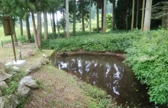 Satsuma Pond