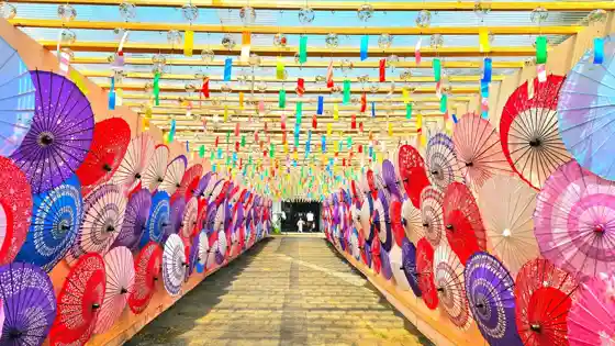 Sekigahara Japanese Umbrella Story