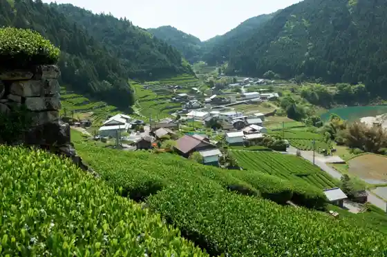 Mino Shirakawa Chachaen