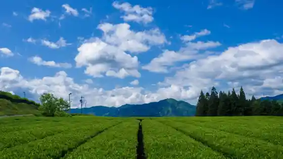 Mino Shirakawa Chachaen Landscape
