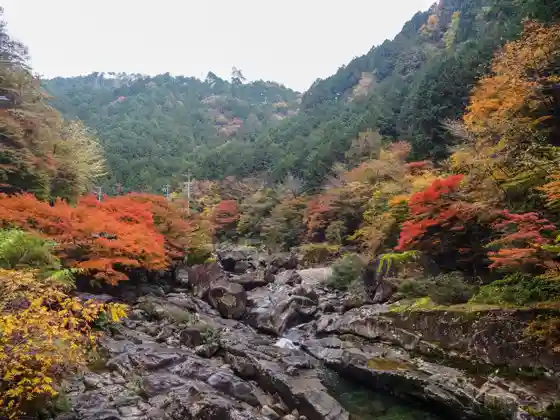Samigawa Gorge Autumn Leaves