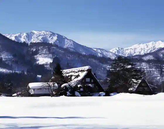 Wada House