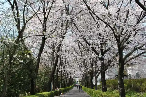 Tosai Path