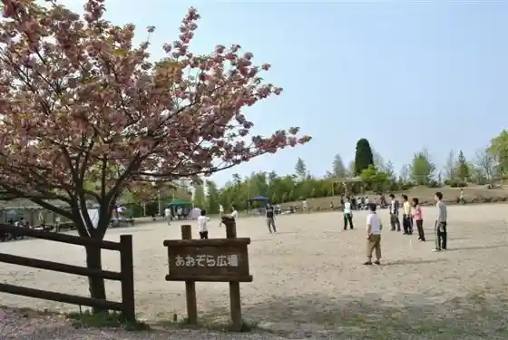 Kasahara Shiomi Forest