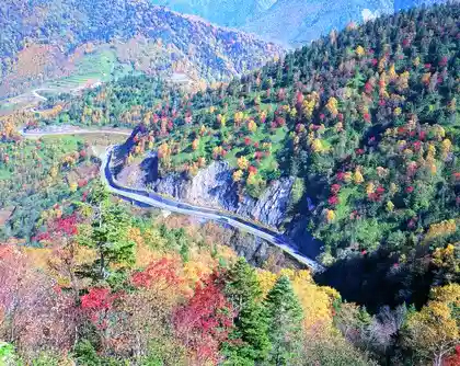 Autumn Foliage on the Norikura Skyline
