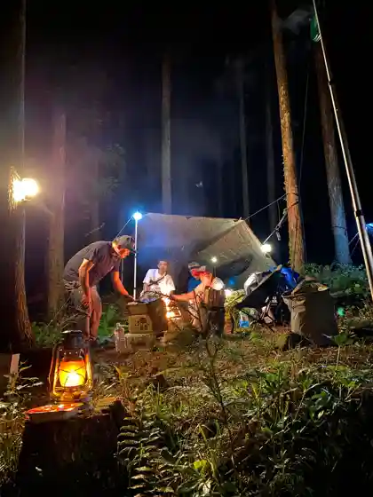 Forest Rental