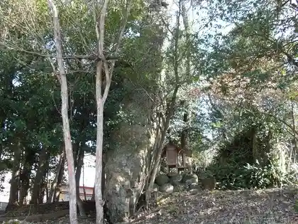 Tateiwa