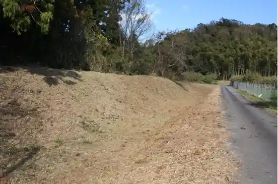 Shikoku Moat Ruins