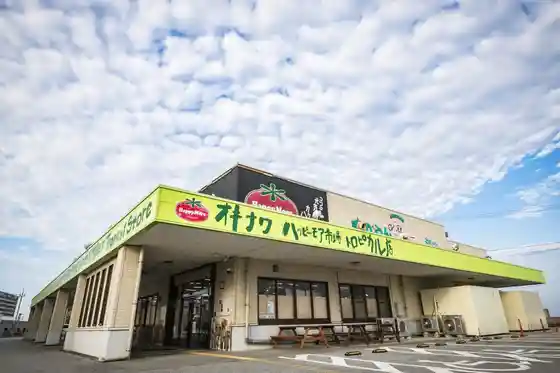Happy More Market Tropical Store