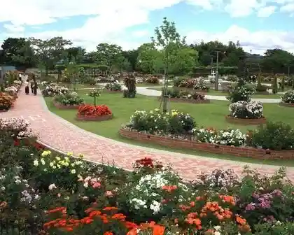 Rose Park Relaxation Plaza