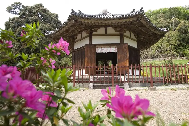 Sakae Yamadera
