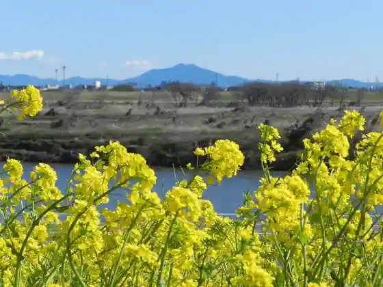 Naka no Shima Park