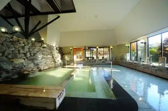 Gonohe Makiba Onsen