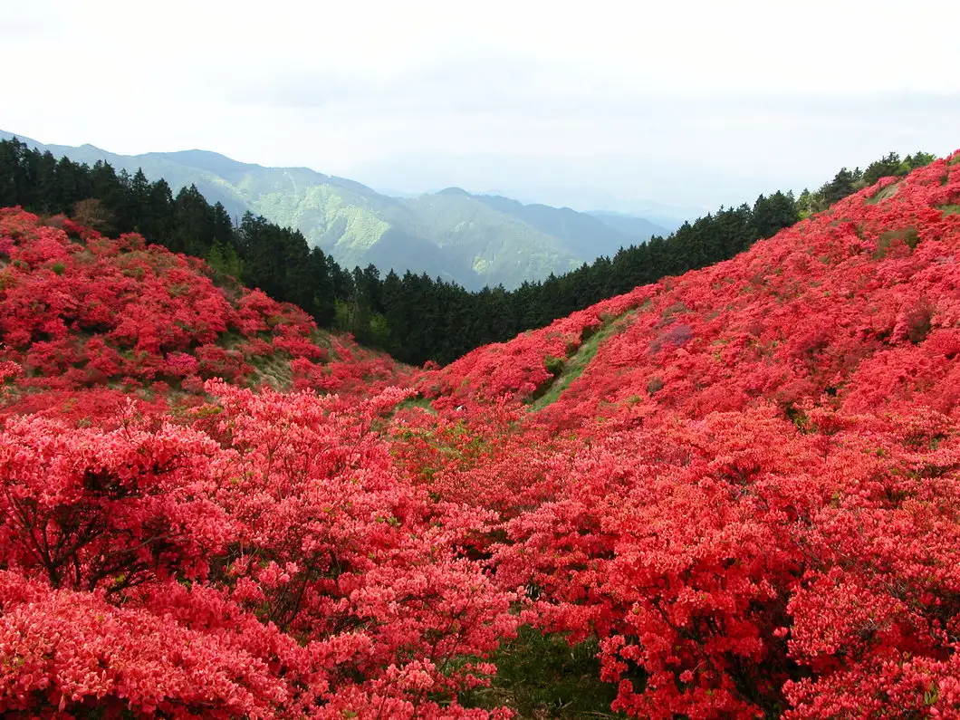 Katsuragi Highlands