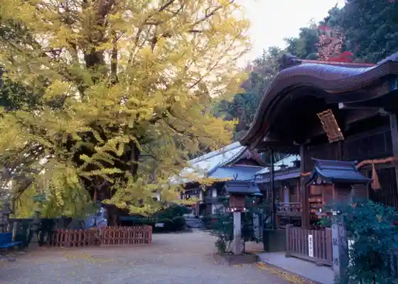 Katsuragi Za Hitokoto Shu Shrine