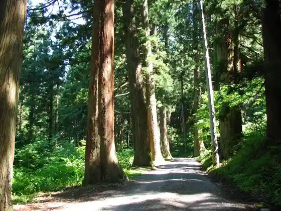 Jiko Tera no Suginami Ki