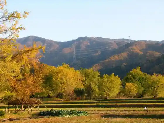 Ogon Village