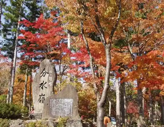 Six-Stop Autumn Leaves Drive Course in Takasu