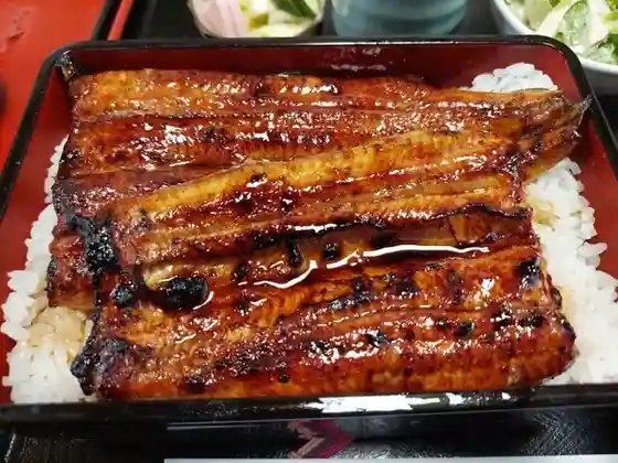 Sakana Kazu