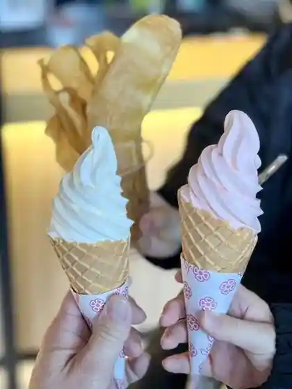 Konnyaku Sofutokurimu Cafe
