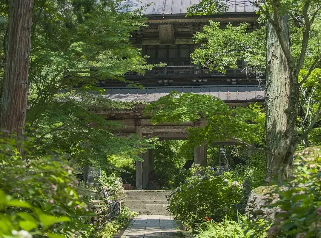 Seiryu Yama Kichijoji