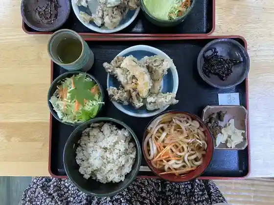 Ressha Restaurant Seiryu