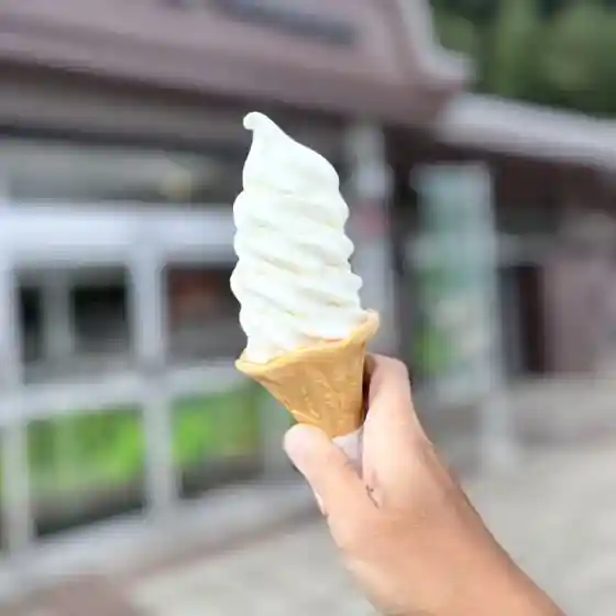 Tanigawadake Pakingueria Nobori Sen Food Court