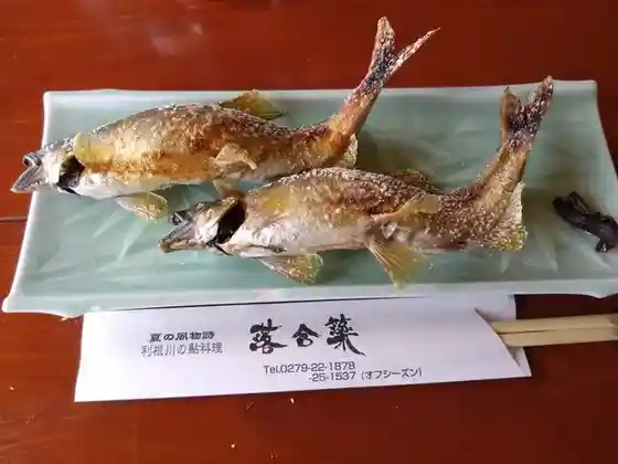 Ochiai Yana
