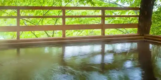 Kishi Ken Ryokan ~ Ishidan Machi Rinsetsu Kisho Gensen (Ogon No Yu) No Yado ~