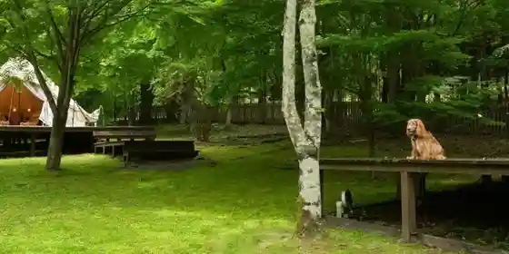 RITA S RANCH Minami Karuizawa ~ Aiken To Sugo Su Tento No Kyujitsu ~