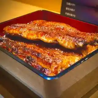 Jun Sengyo Na Kujira