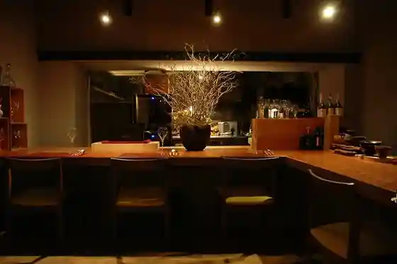 Potoro