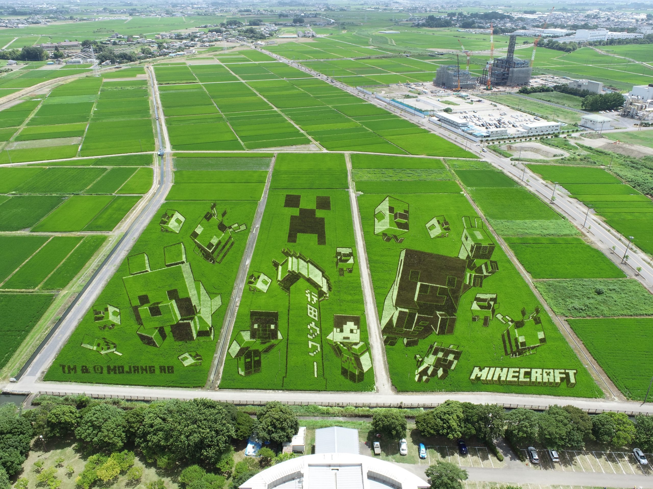 Gyoda City World's Largest Rice Paddy Art (2026 Minecraft Collaboration) and Ancient Lotus Village