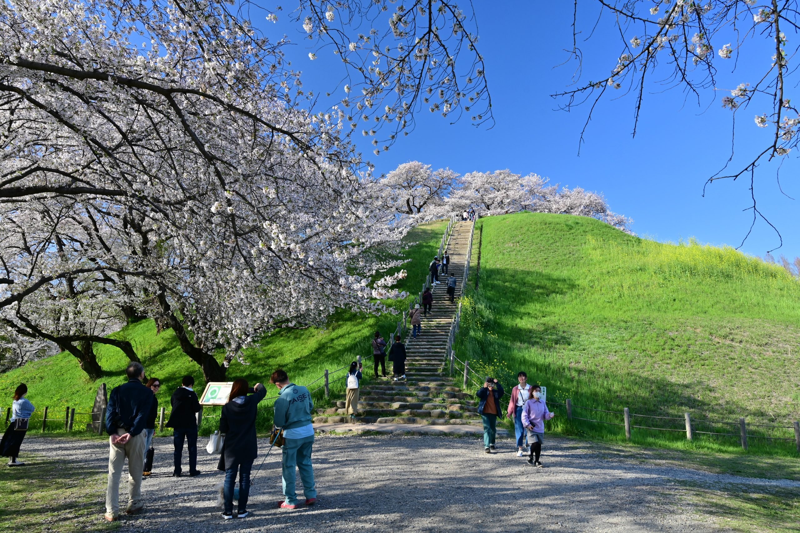 Sakitama Kofun Park