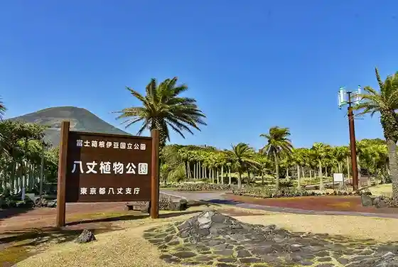 Hachijo Shokubutsu Park