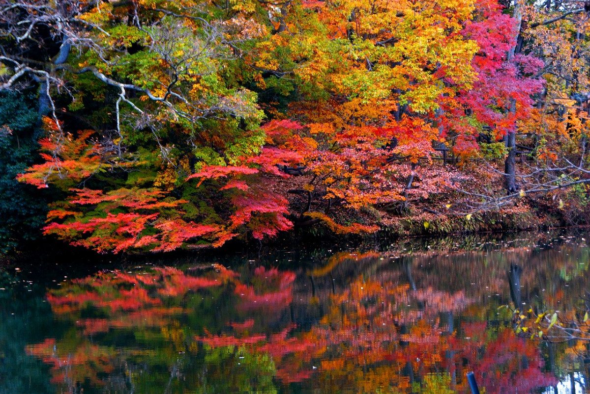 Lake Shinsei