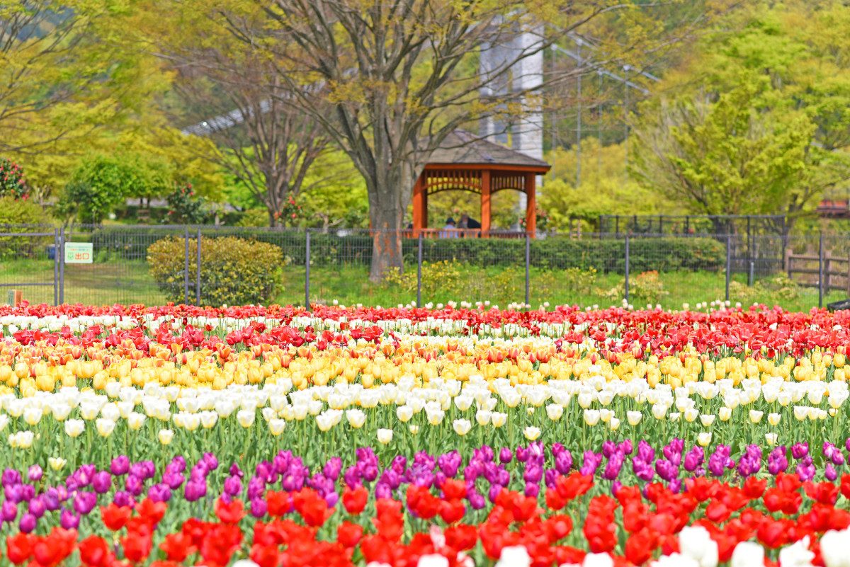 Kanagawa Prefectural Hadano Togawa Park