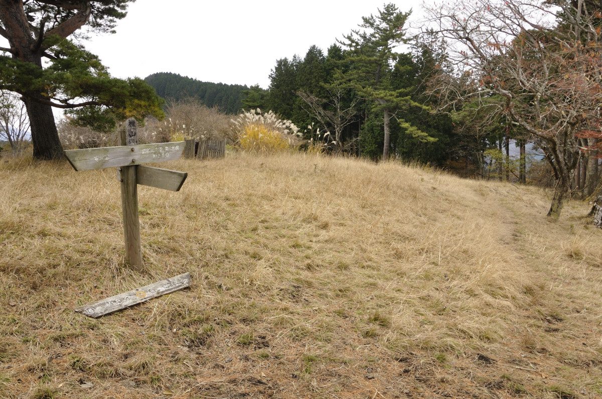 Omote Tanzawa Citizens' Forest