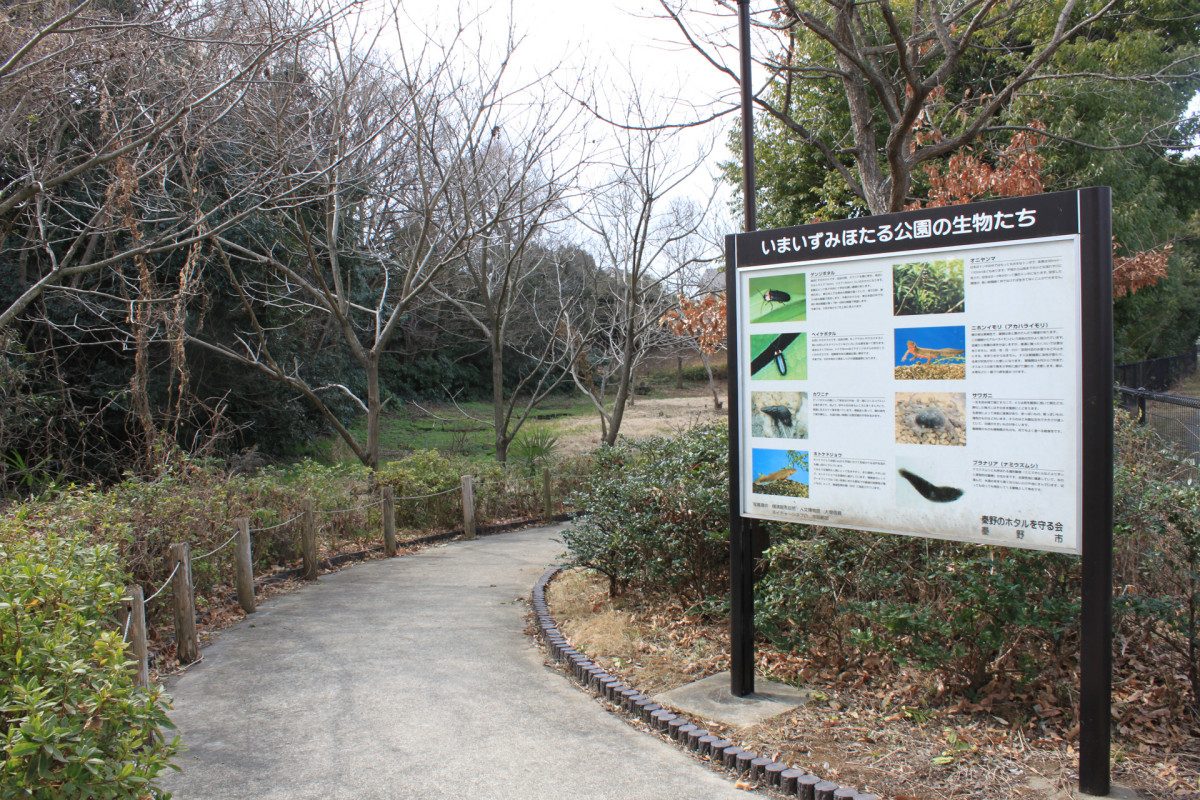 Imaizumi Firefly Park