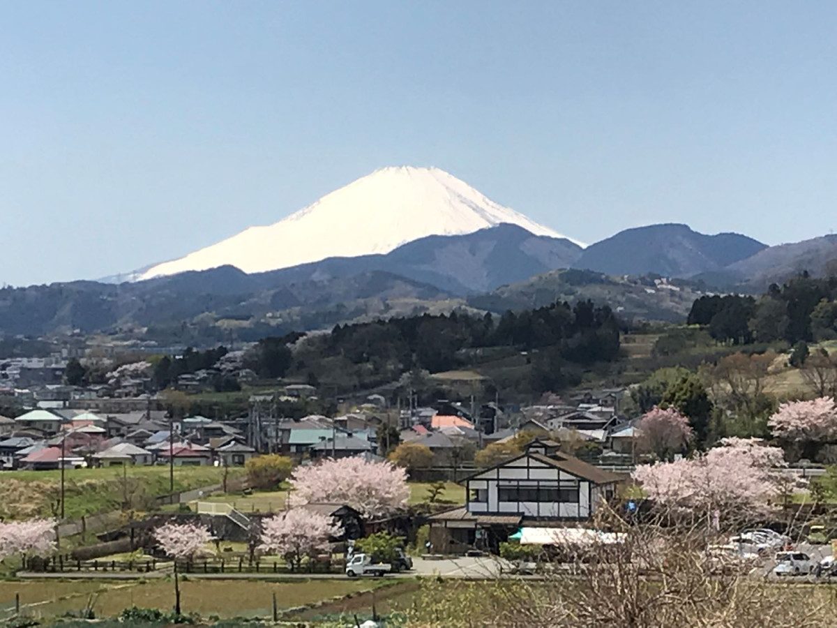 Tawara Furusato Park Soba Restaurant Shinonome