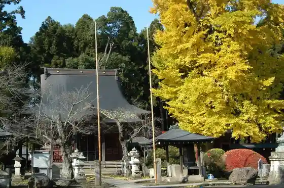 Jokoji Temple (Nobu Jizo)