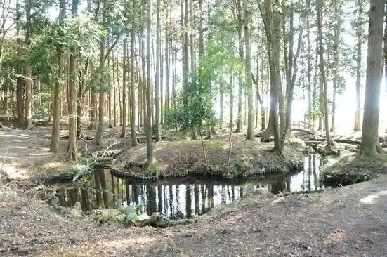 Ubaga Pond