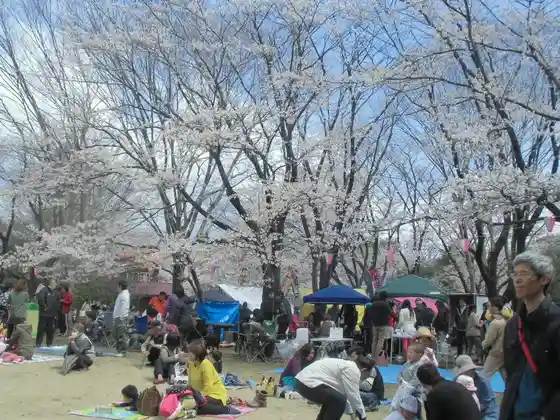 Kashinomori Park