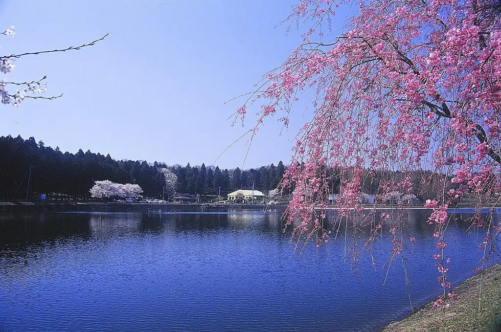 Karoke Sozan Park