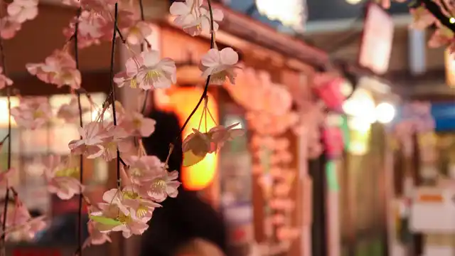 Daimon Yokocho