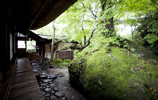 Hakuundo Tea Garden