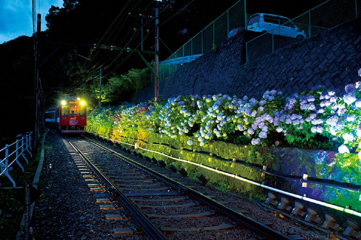 Hakone Tozan Railway (Hydrangea Train)